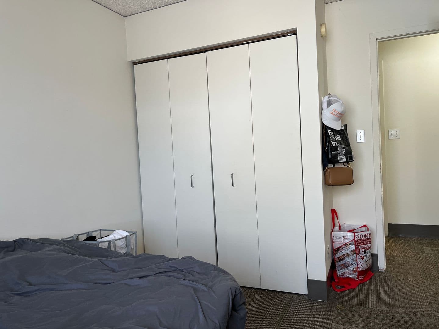 Ithaca Apartment: 110 Dryden Rd