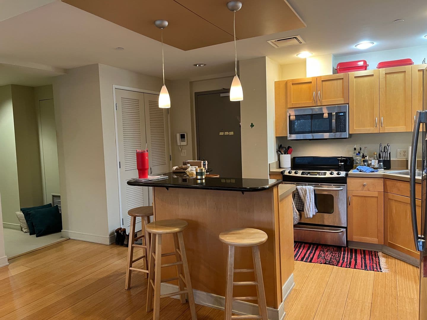Ithaca Apartment: 311 E Green