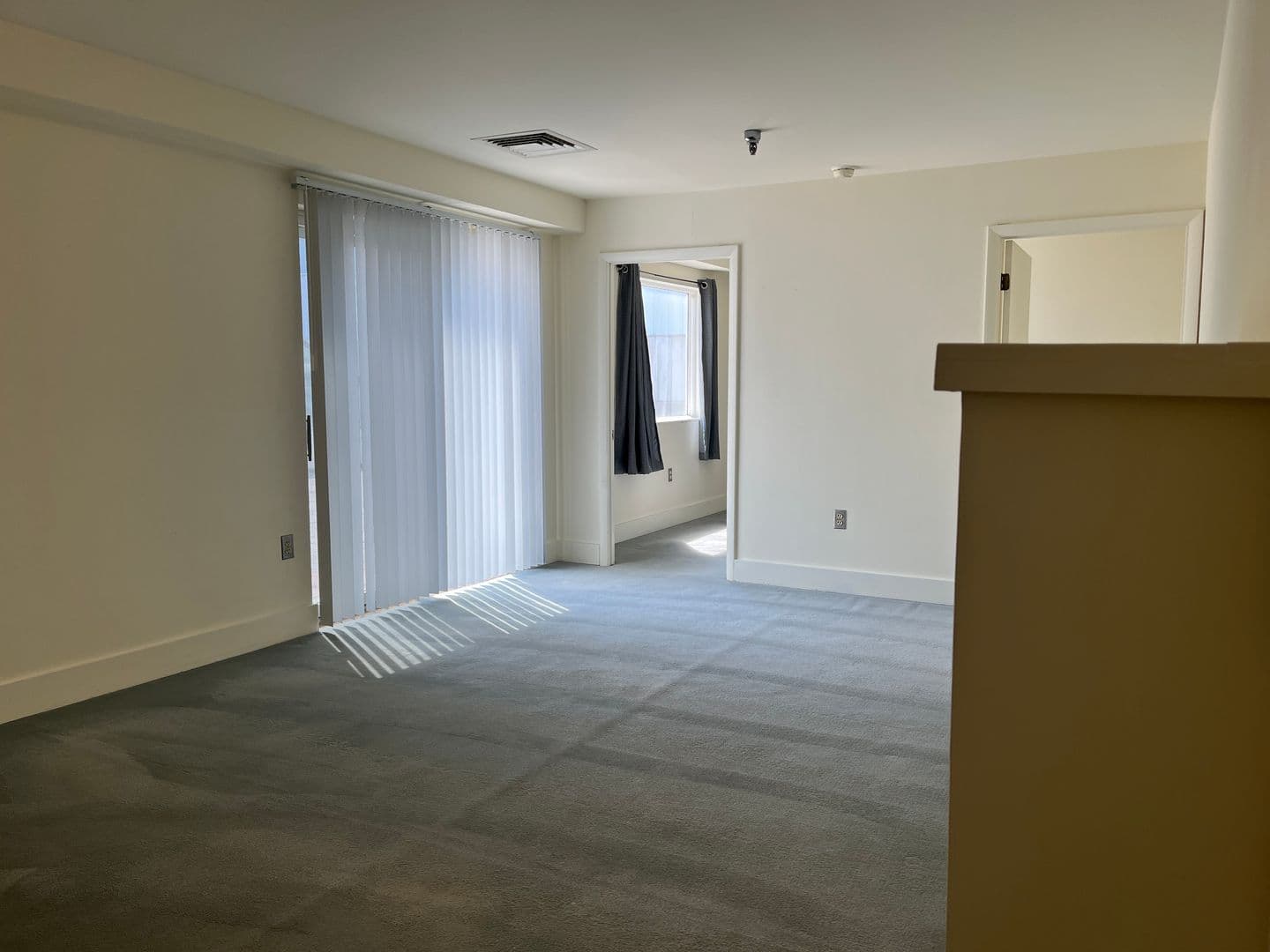 Ithaca Apartment: 171 E State St