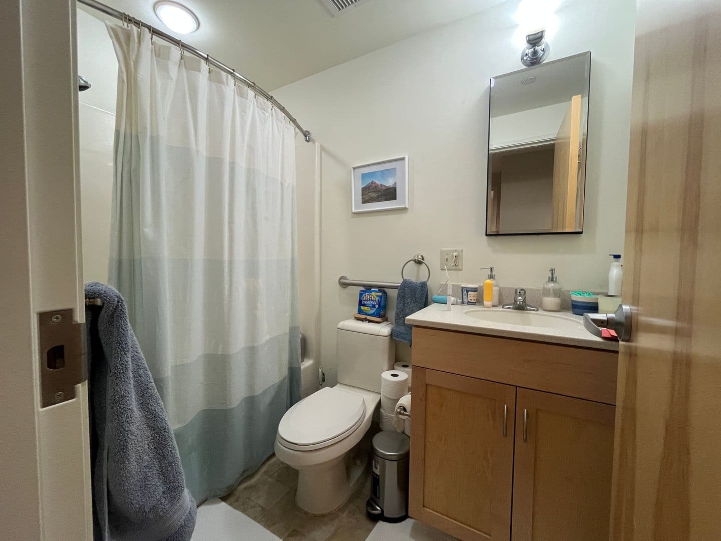 Ithaca Apartment: 311 E Green