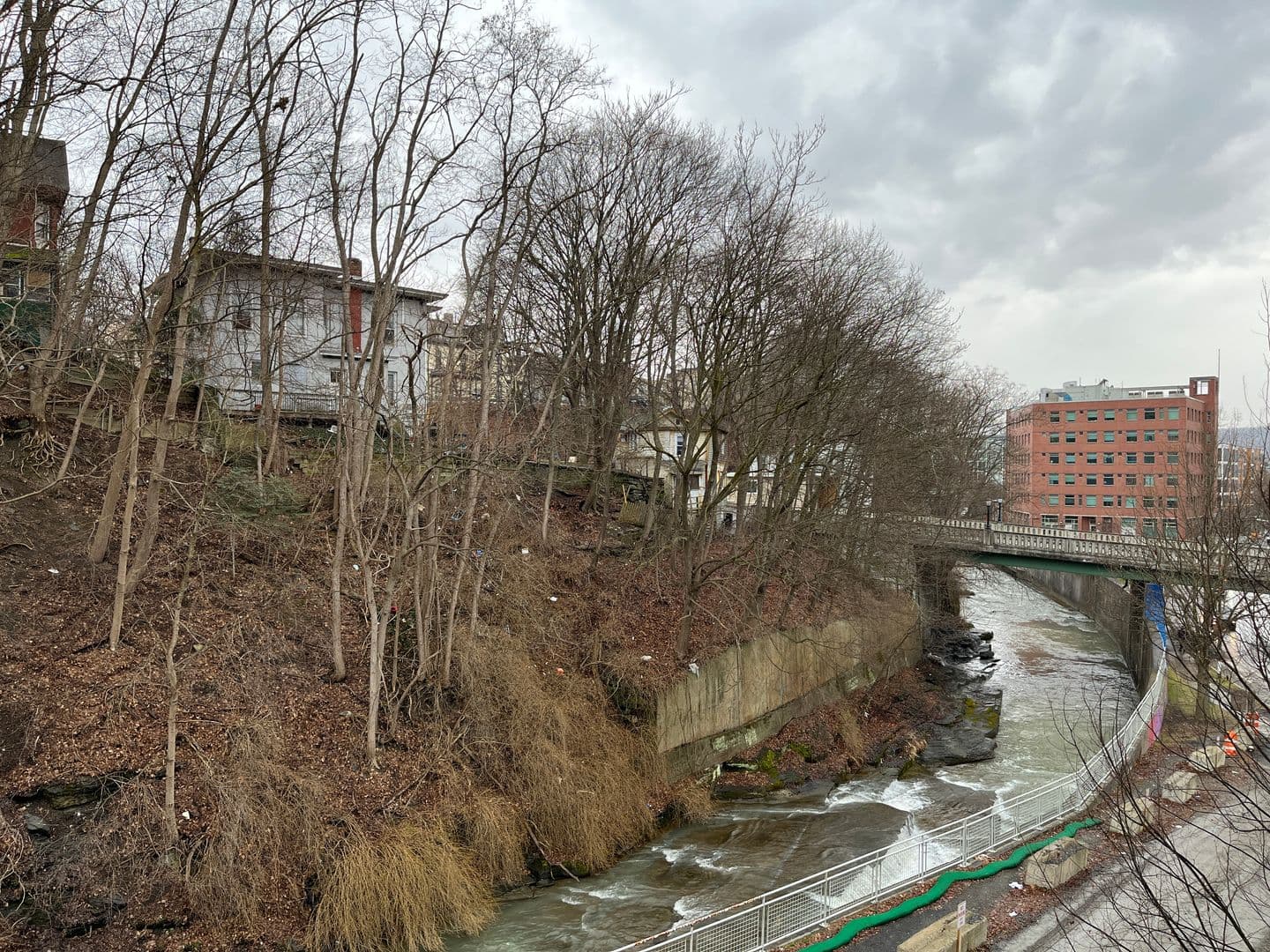 Ithaca Apartment: 311 E Green