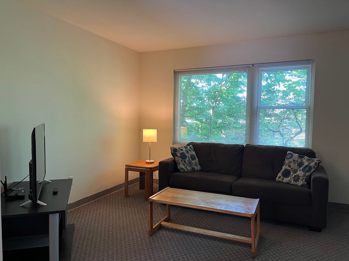 Ithaca Apartment: 516 University Ave