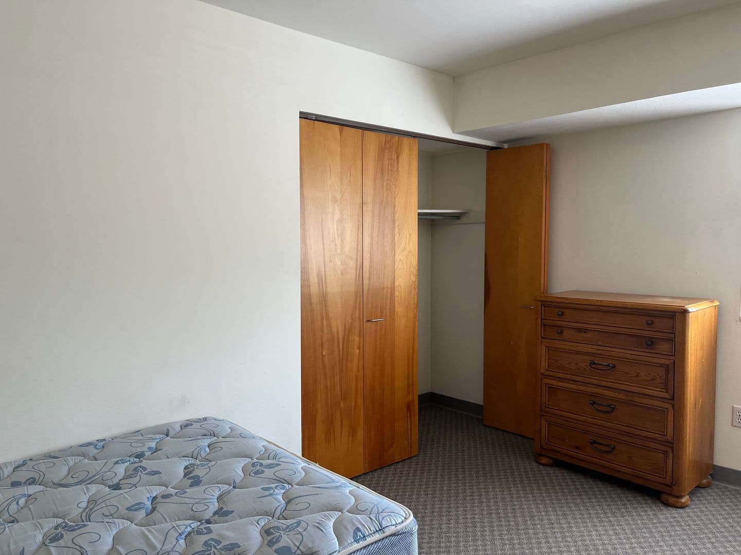 Ithaca Apartment: 516 University Ave