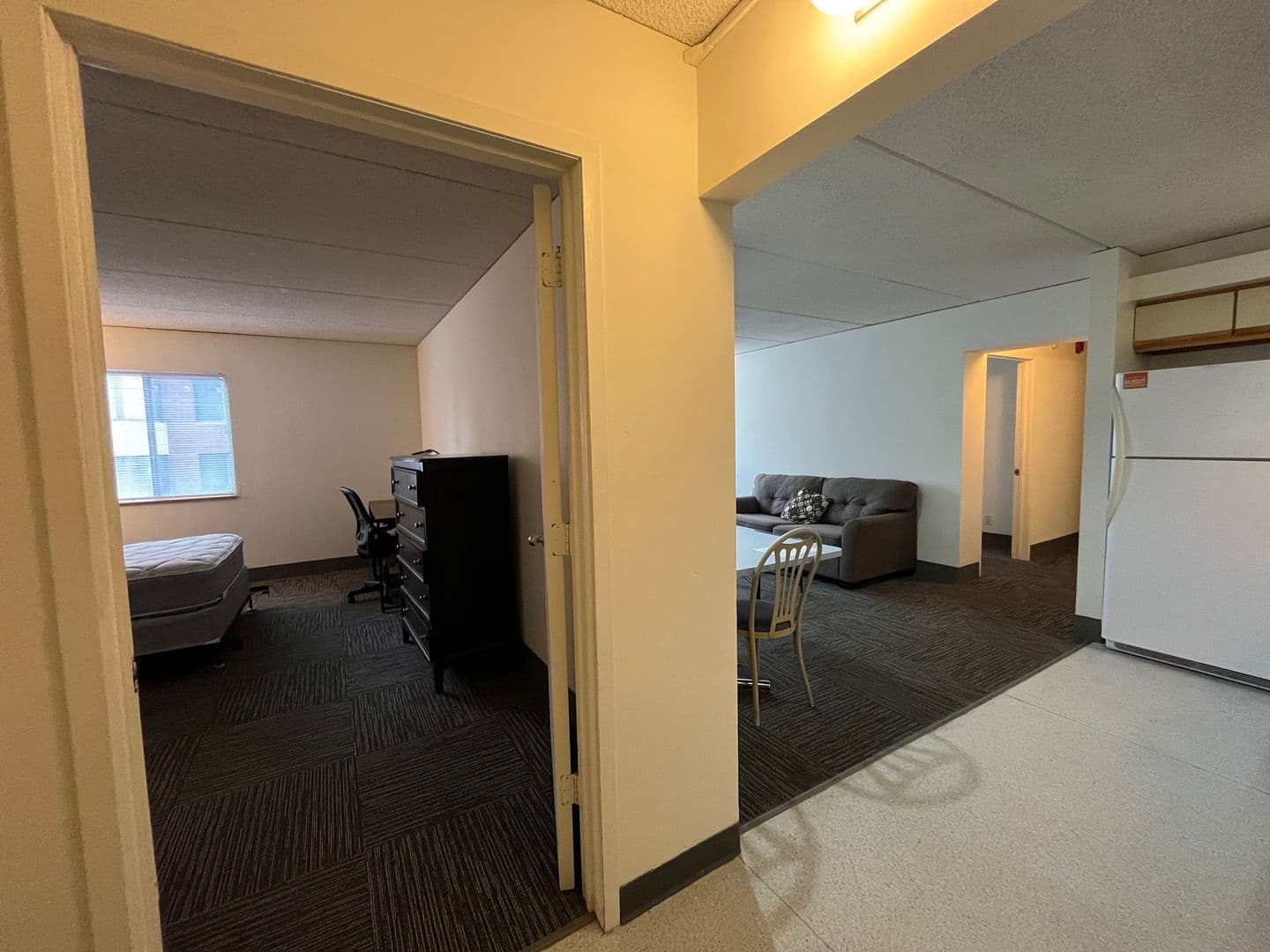 Ithaca Apartment: 110 Dryden Rd