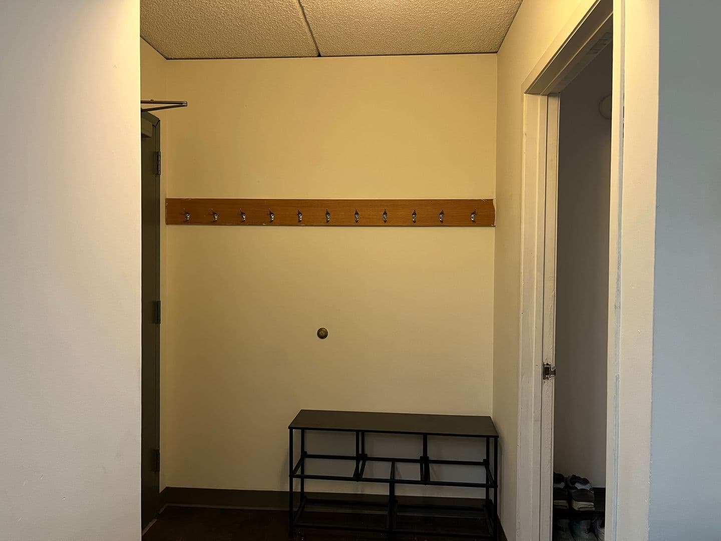 Ithaca Apartment: 110 Dryden Rd
