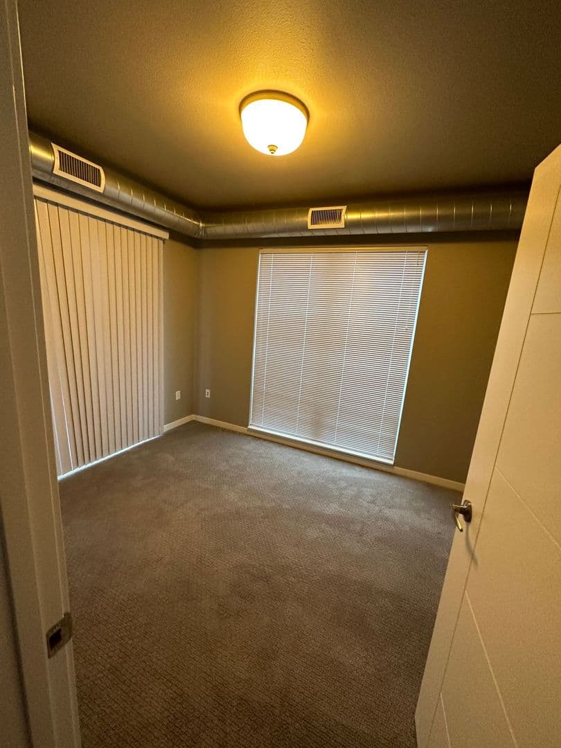 Northfield Apartment: 118 5th St E