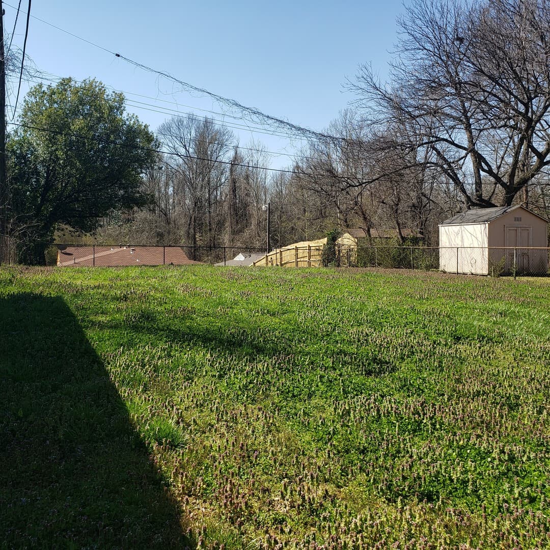 Memphis House: 407 Argo Avenue