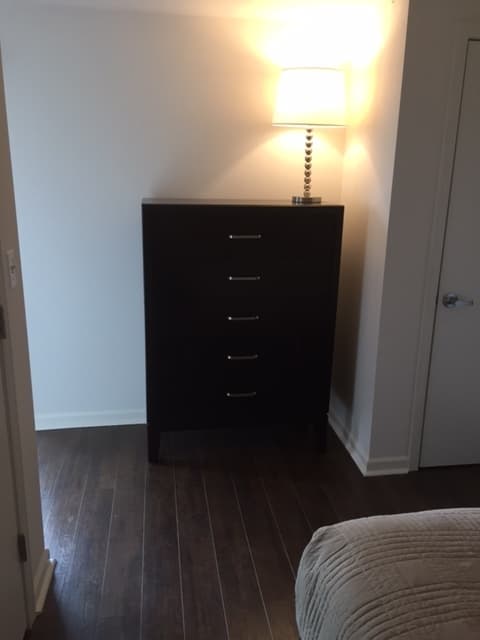 Mundelein Apartment: 301 Mckinley