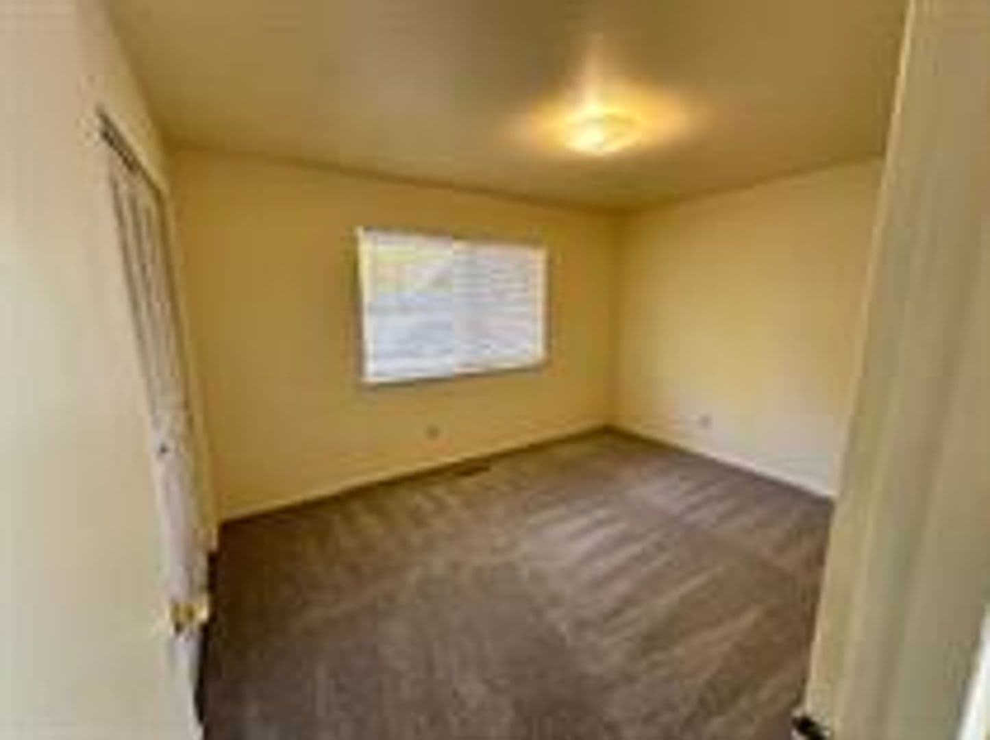 Fort Collins Apartment: 1625 Palm Drive