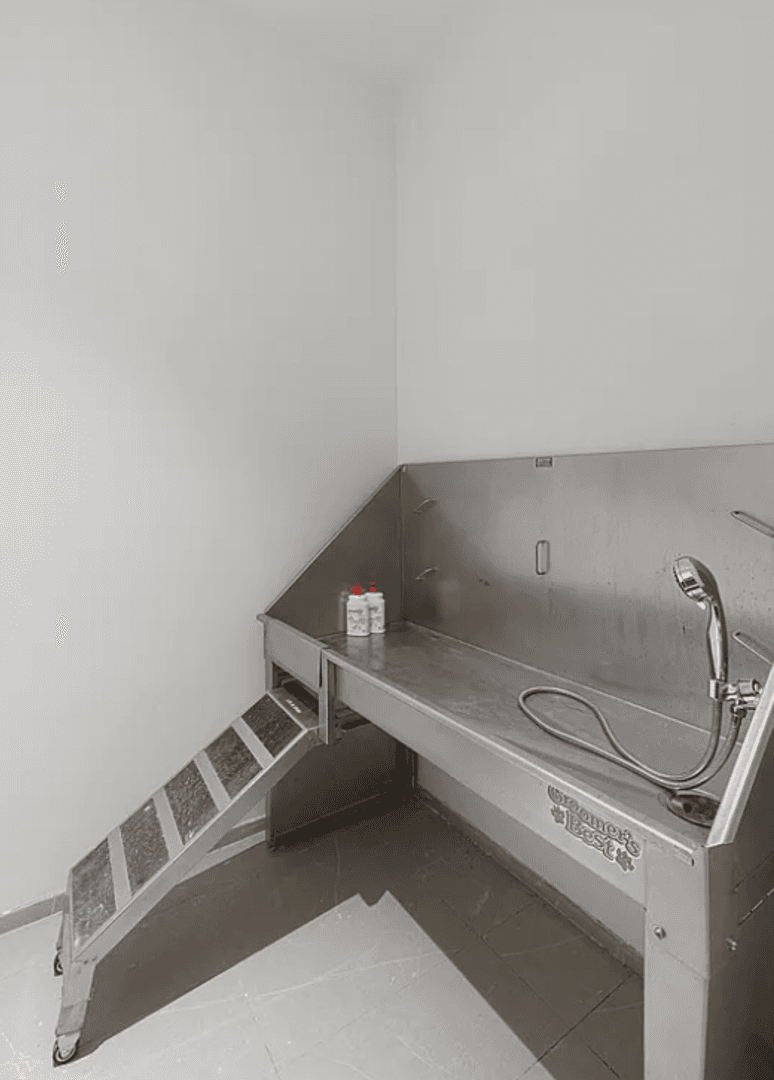 Brooklyn Apartment: 445 Grand Ave