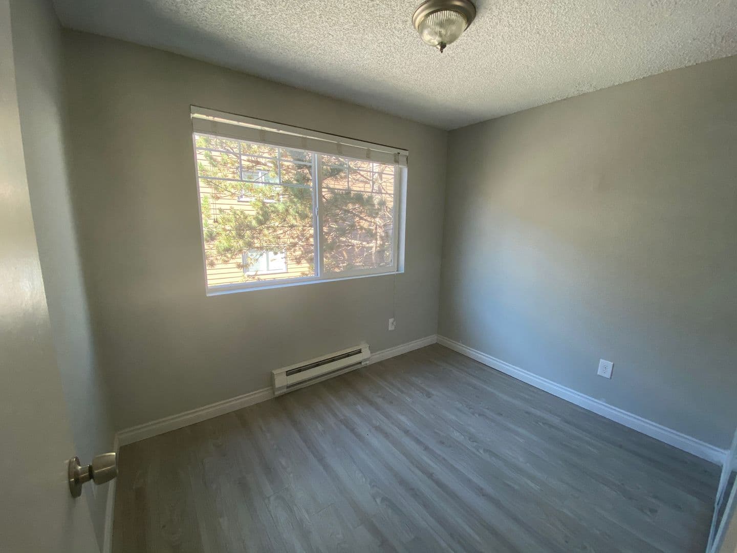 Seattle Apartment: 4327 8th Avenue NE
