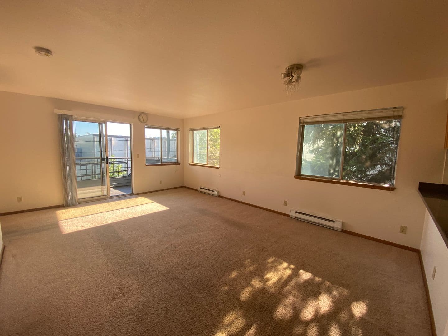 Seattle Apartment: 812 NE 42nd Street