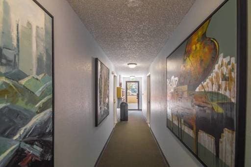 Seattle Apartment: 4327 8th Avenue NE