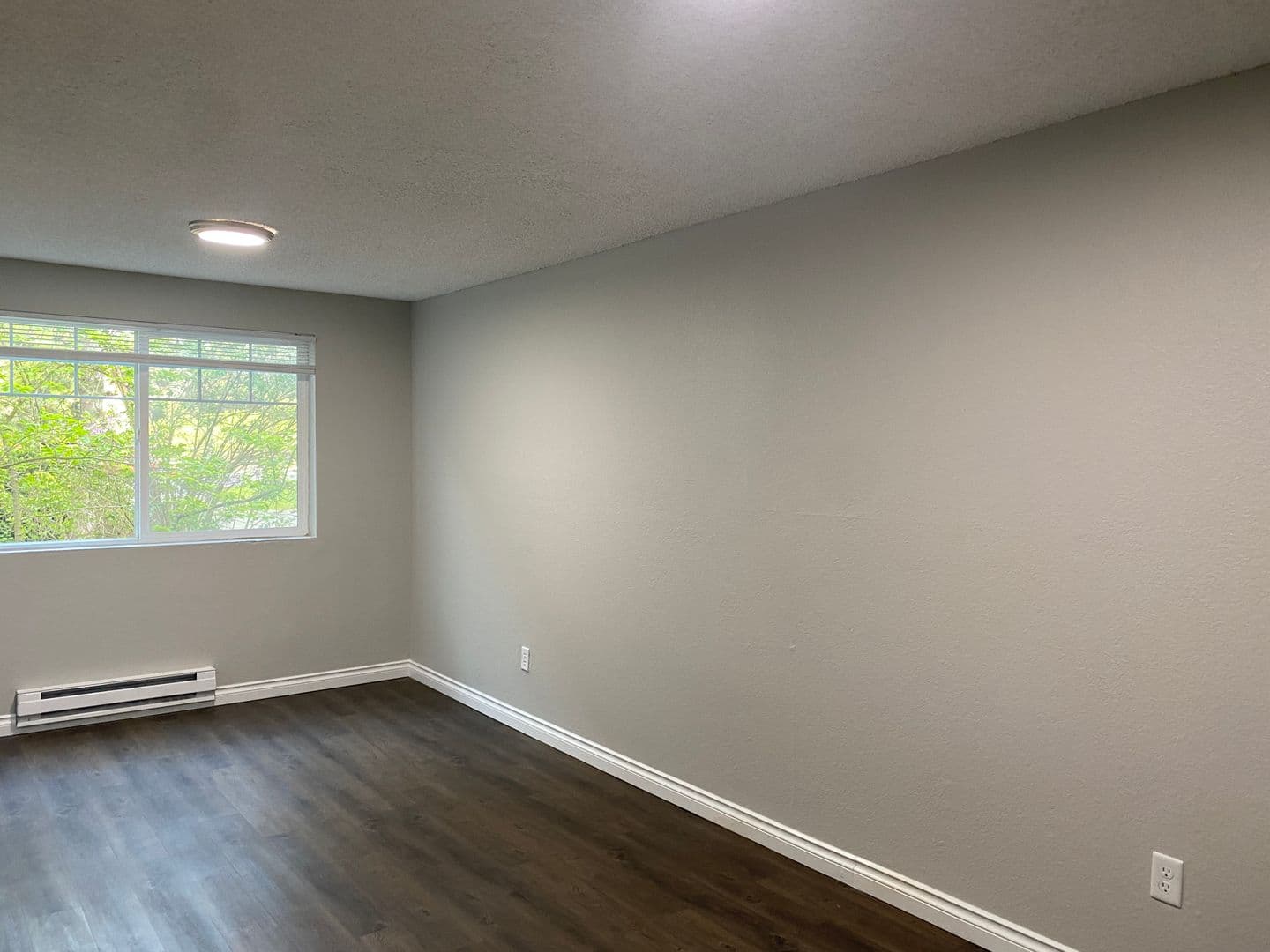Seattle Apartment: 4327 8th Avenue NE