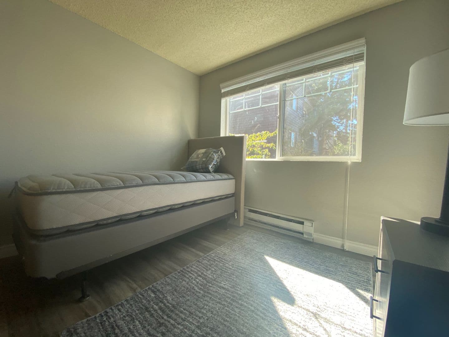 Seattle Apartment: 4327 8th Avenue NE