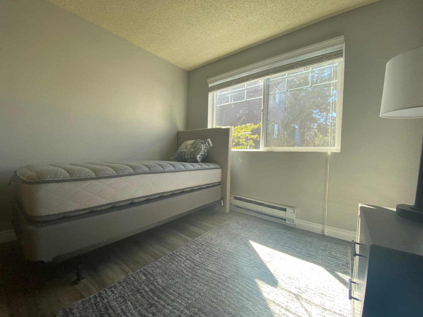 Seattle Apartment: 4327 8th Avenue NE