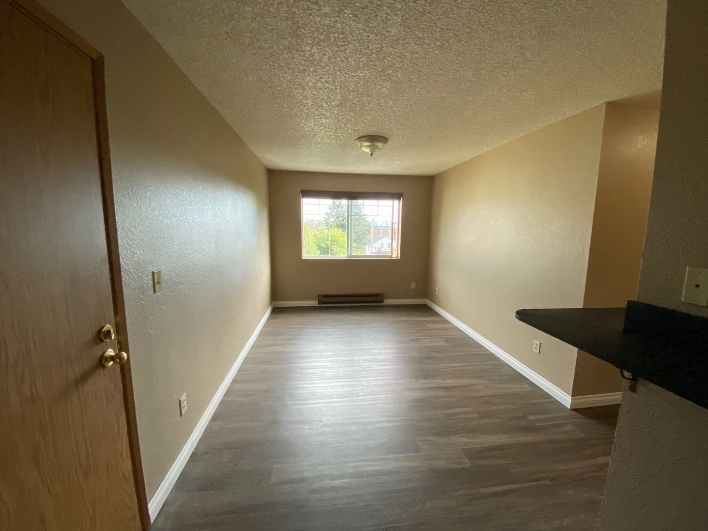 Seattle Apartment: 4327 8th Avenue NE