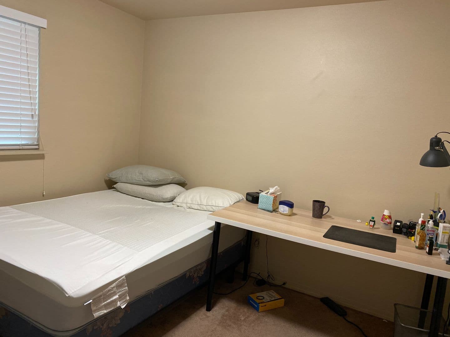 Seattle Apartment: 1519 NE 50th Street