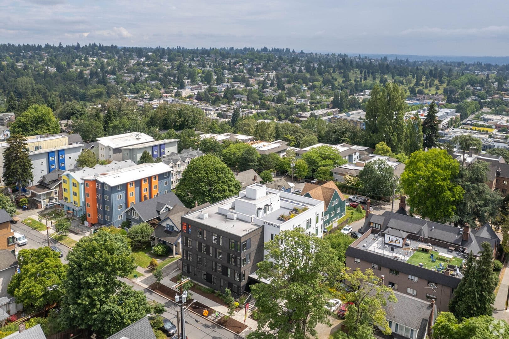 Seattle Apartment: 4710 20th Ave NE