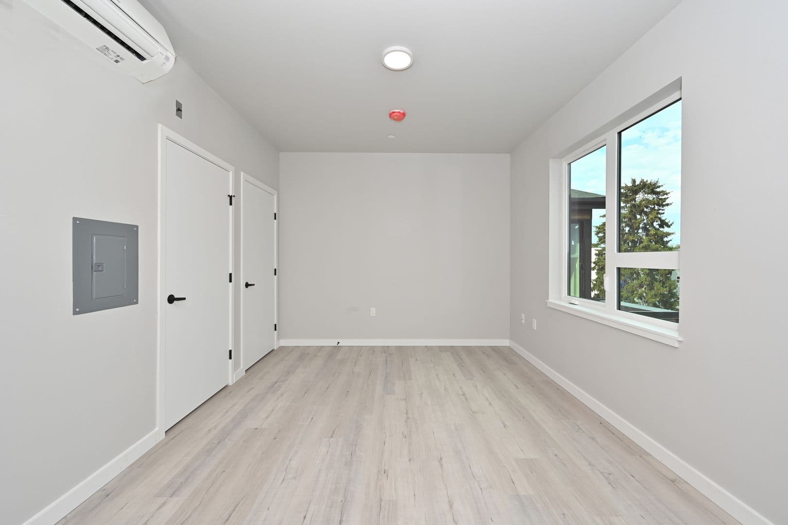 Seattle Apartment: 4730 19th Ave NE