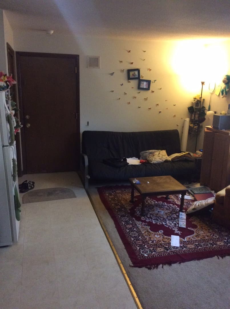 Ames Apartment: 216 Campus Avenue