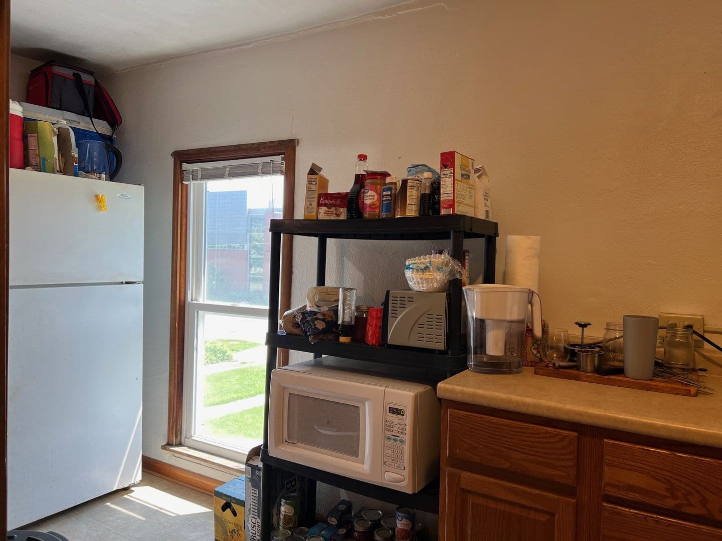 Ames Apartment: 139 Sheldon Avenue