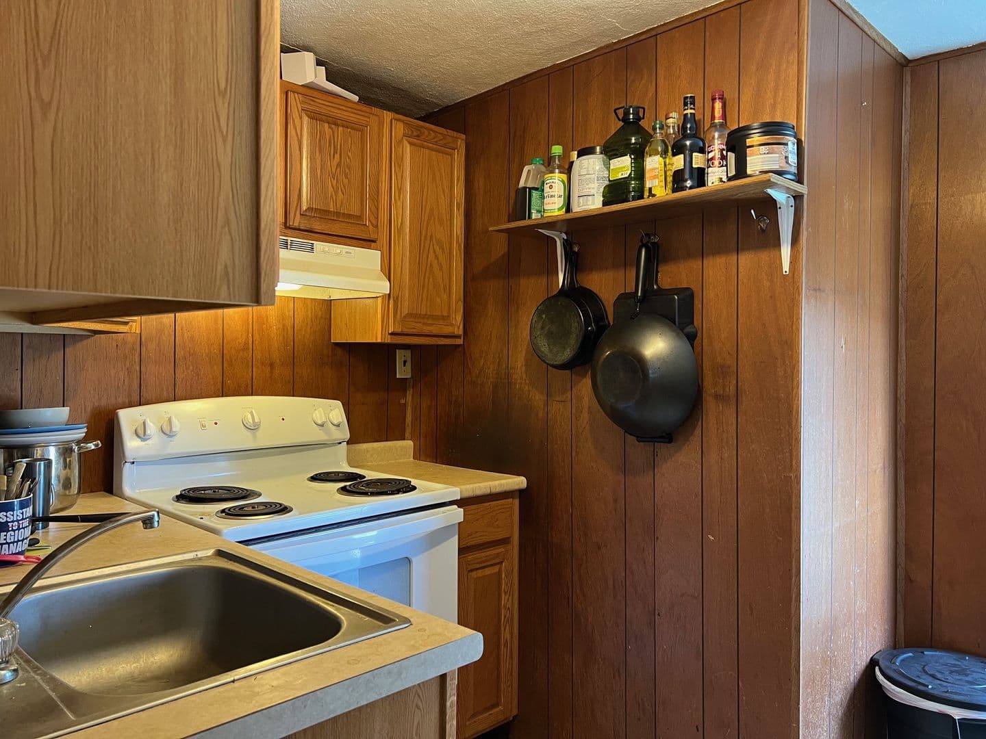 Ames Apartment: 139 Sheldon Avenue