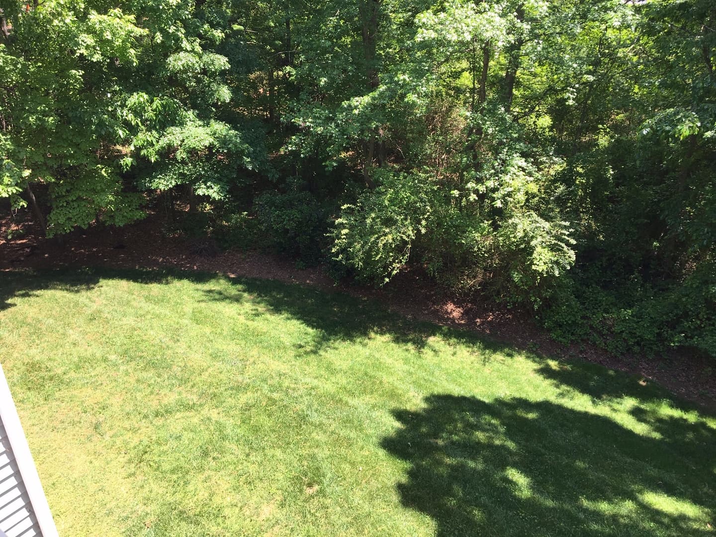 Raleigh Condo: 1301 Hillbrow Lane