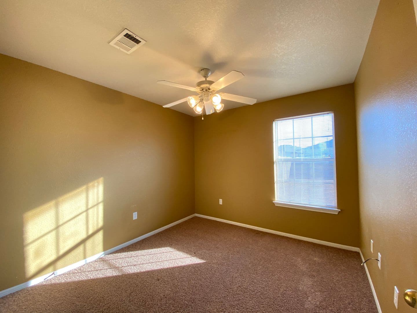 Copperas Cove Apartment: 3103 Yaupon Rd