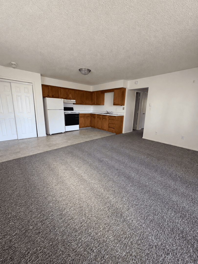 Grand Forks Apartment: 1319 10th Ave S.