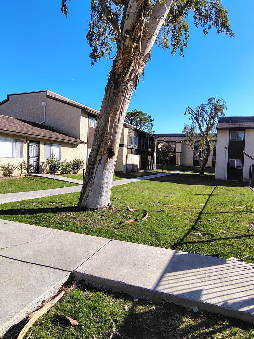 Bakersfield Apartment: 2401 Christmas Tree Ln