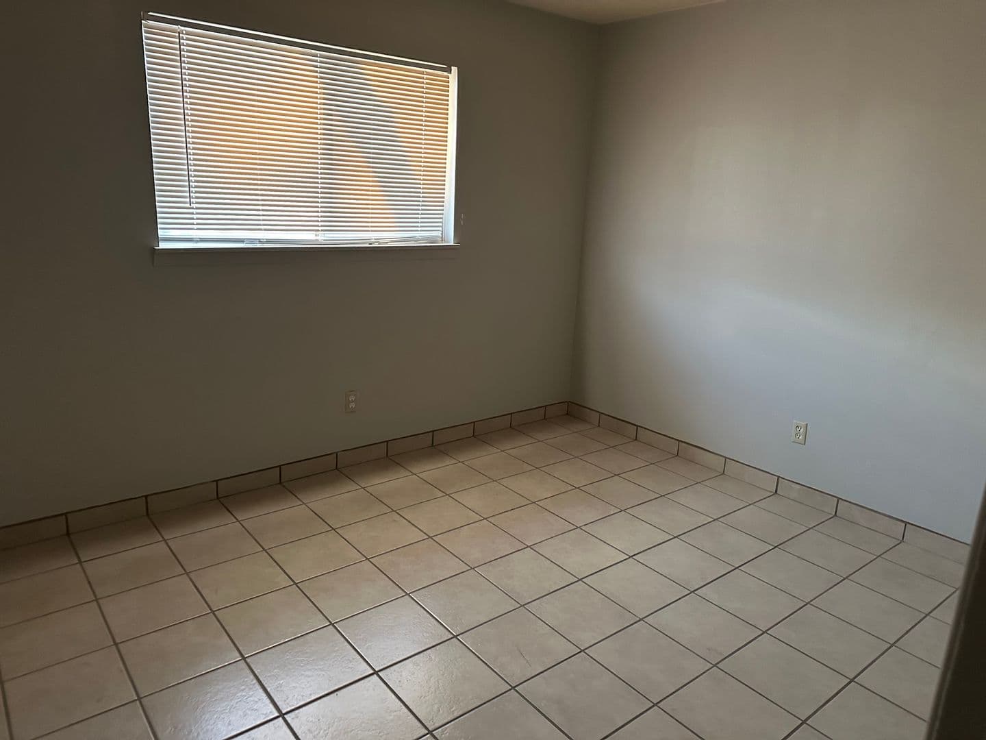 Las Cruces Apartment: 1305 Plain St