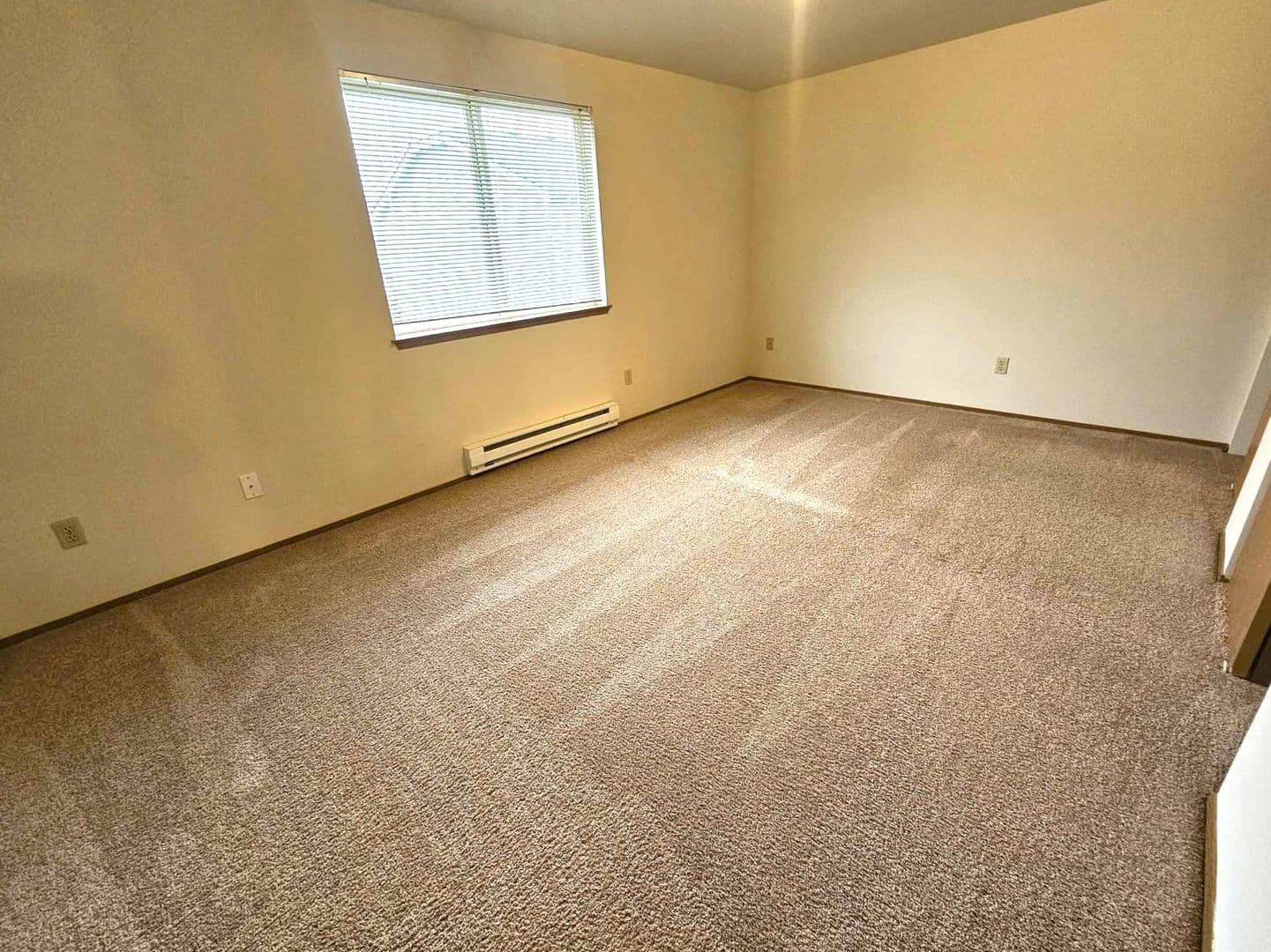 Auburn Apartment: 1110 18th St NE