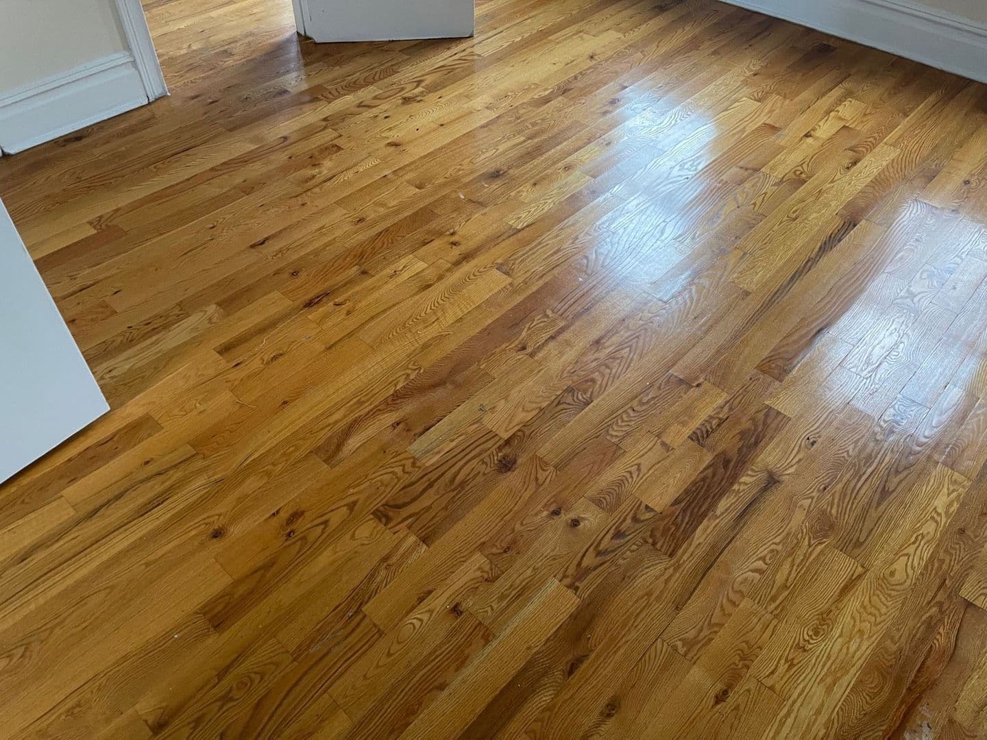 Jersey City Apartment: 343 Fairmount Avenue