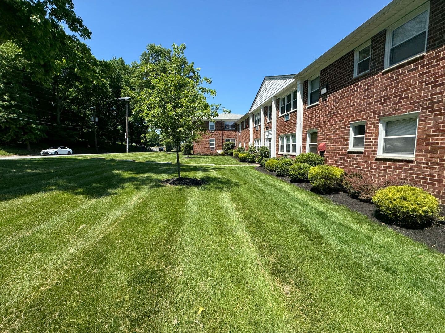 Cedar Grove Apartment: 1059 Pompton Avenue
