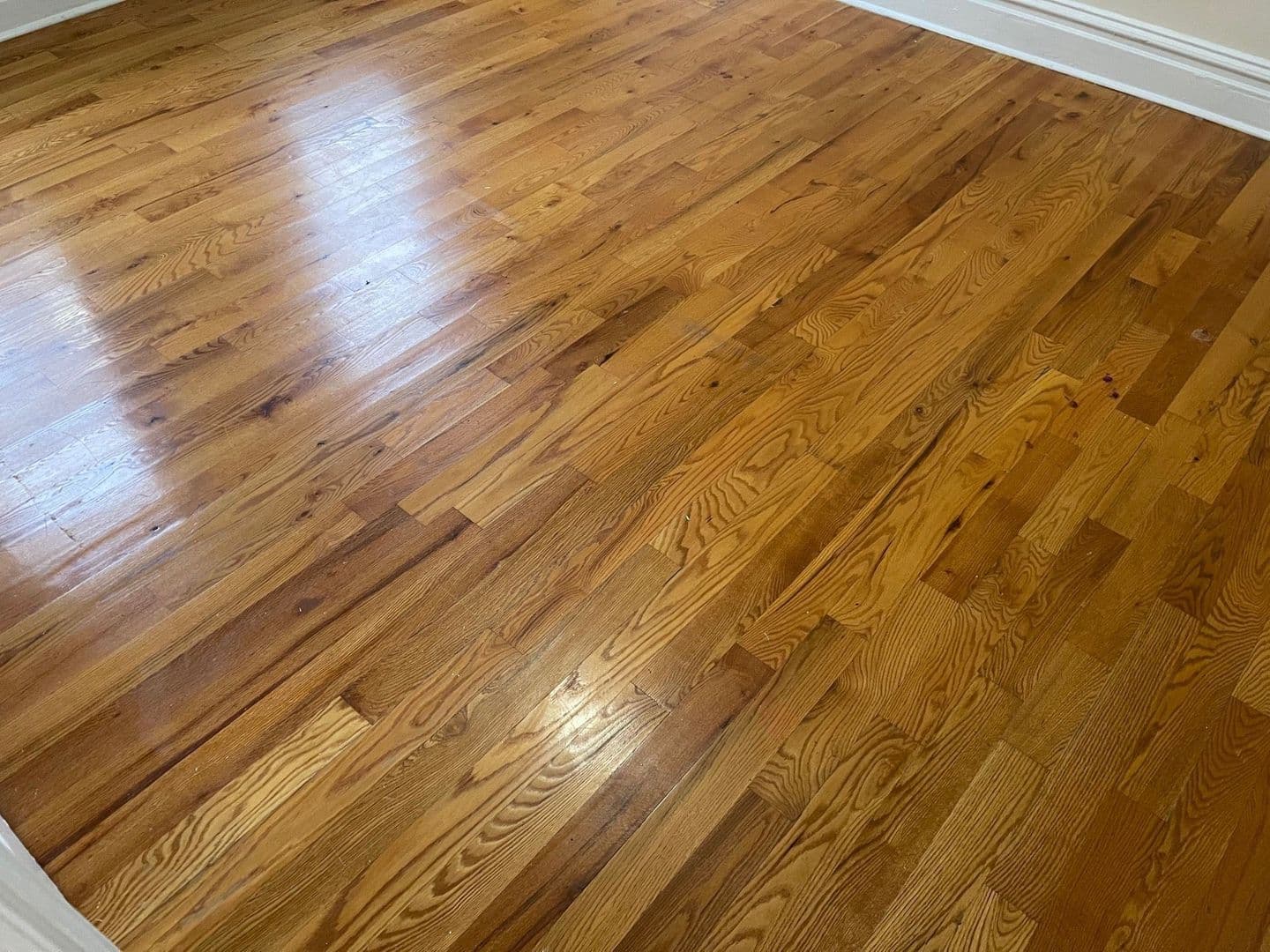 Jersey City Apartment: 343 Fairmount Avenue