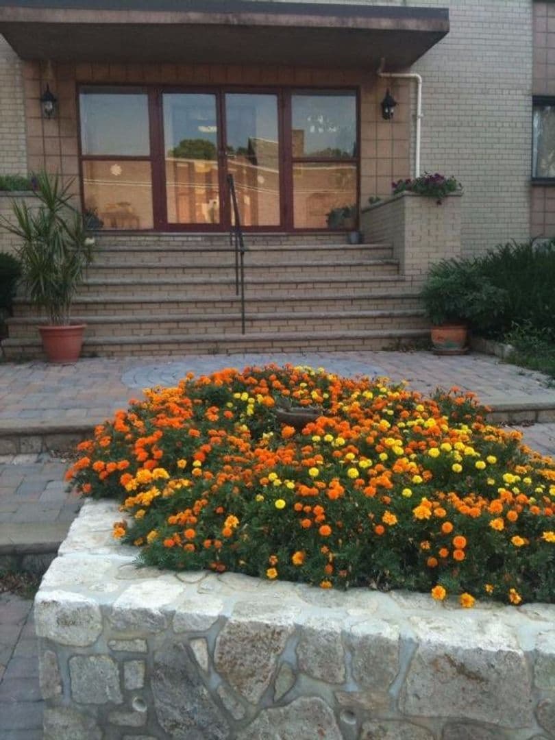 South Orange Apartment: 116 Irvington Avenue