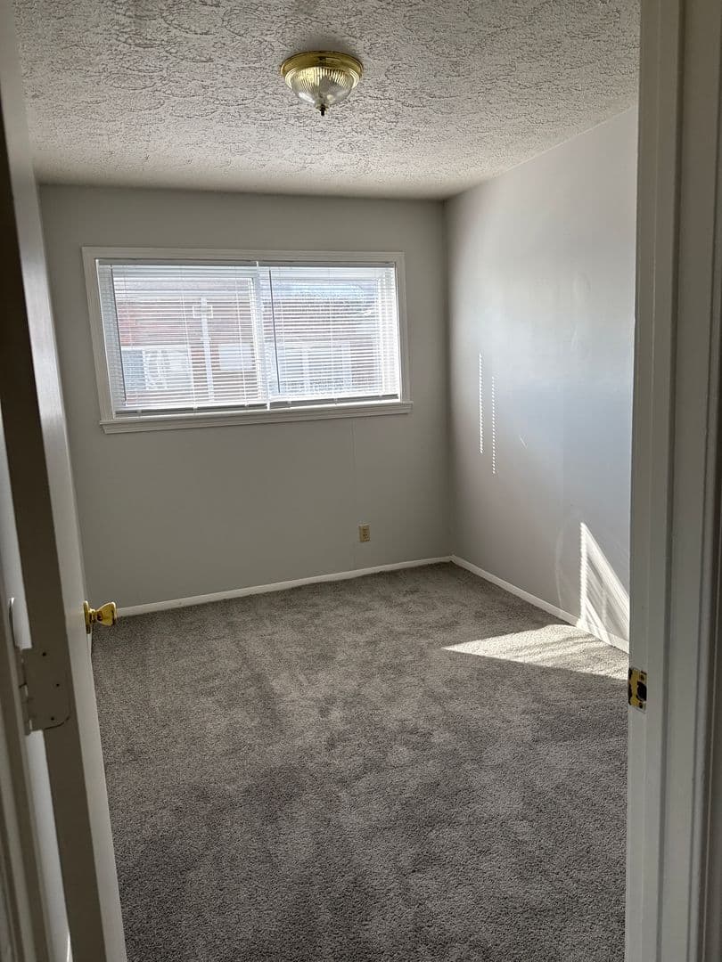Mt Vernon Apartment: S Edson Street