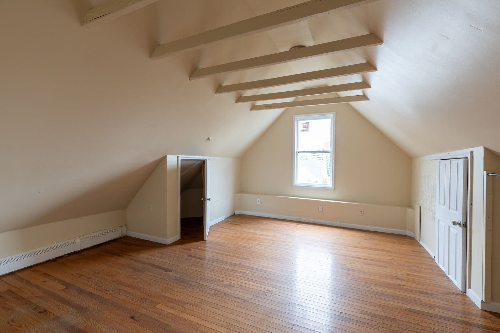 New Brunswick Apartment: 204 Redmond St