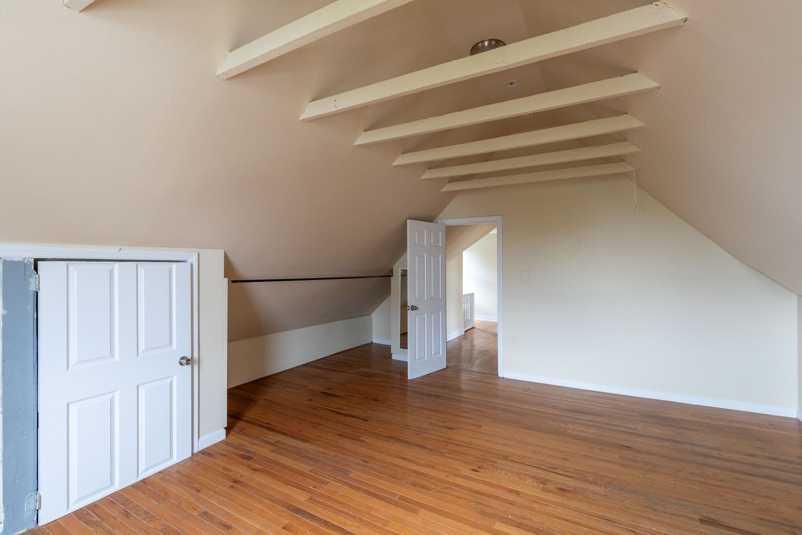New Brunswick Apartment: 204 Redmond St