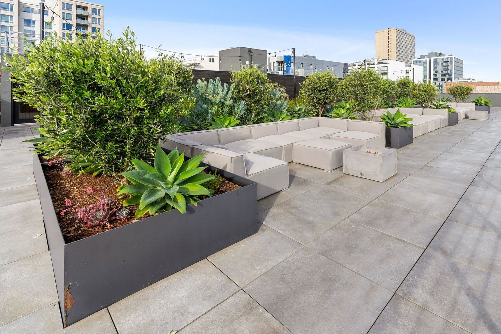 San Francisco Apartment: 1201 Sutter