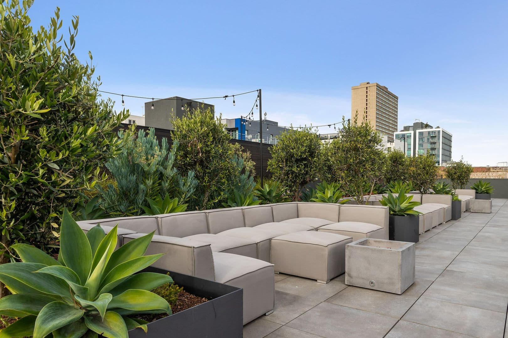 San Francisco Apartment: 1201 Sutter