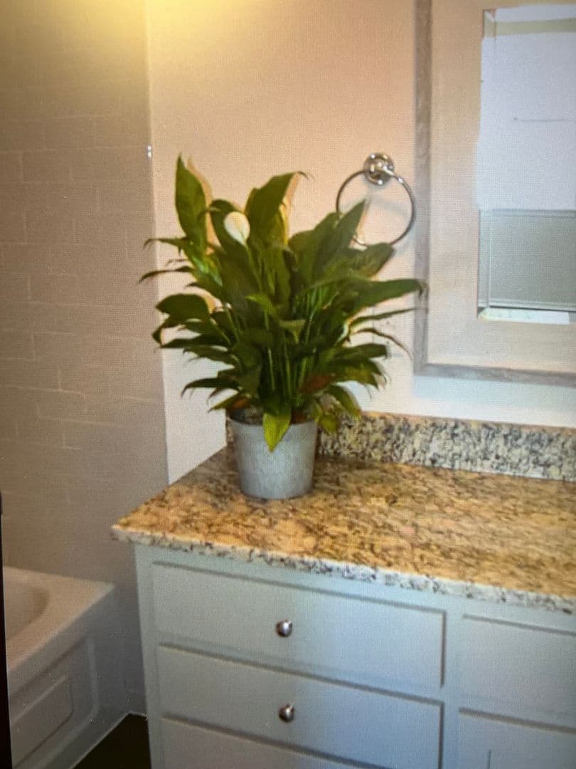 Fort Worth Apartment: 2701-2703 Livingston Ave.