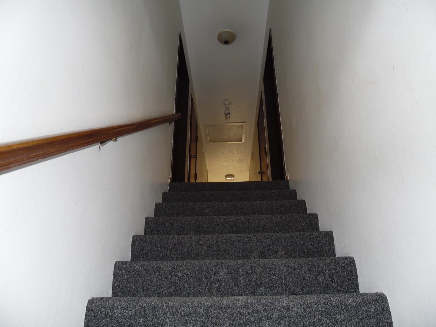 Sioux Falls Apartment: 4400 S Louise Avenue