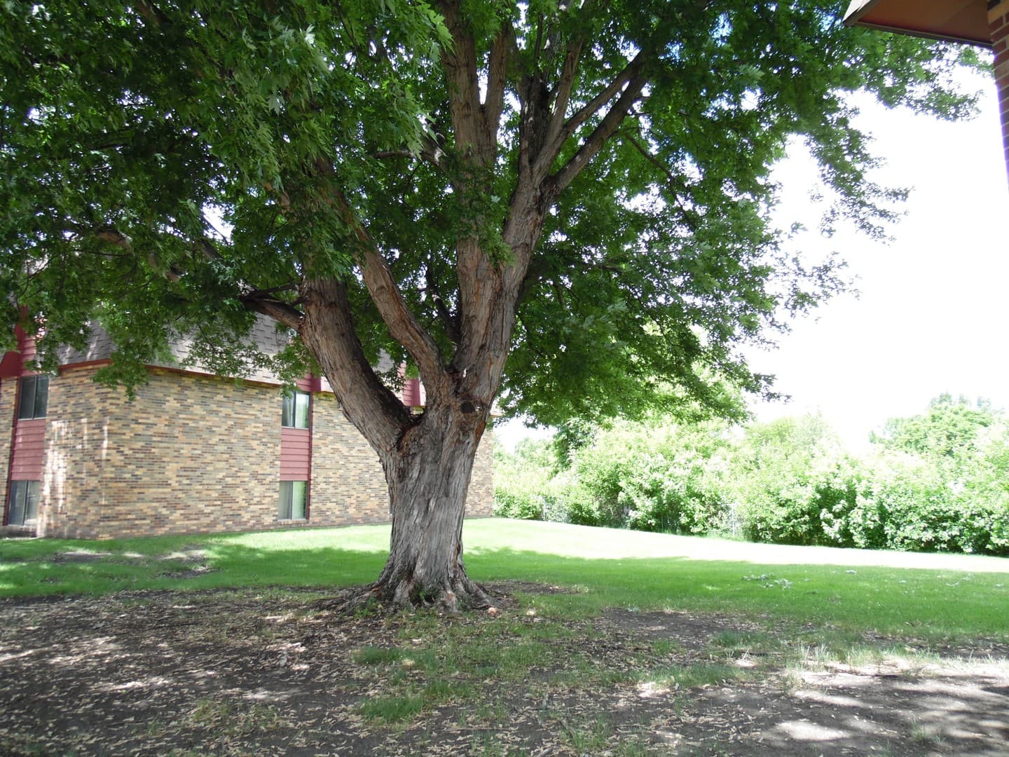 Sioux Falls Apartment: 1900 W 6th St.
