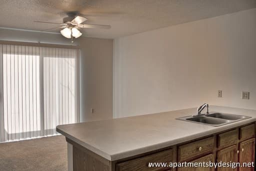 Sioux Falls Apartment: 609 N Cleveland Ave