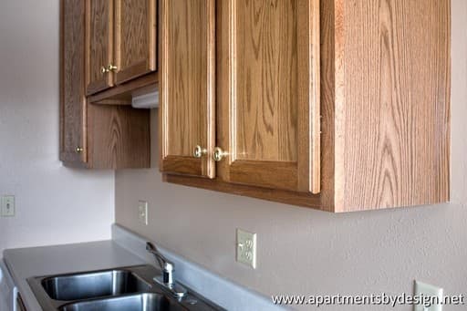 Sioux Falls Apartment: 609 N Cleveland Ave