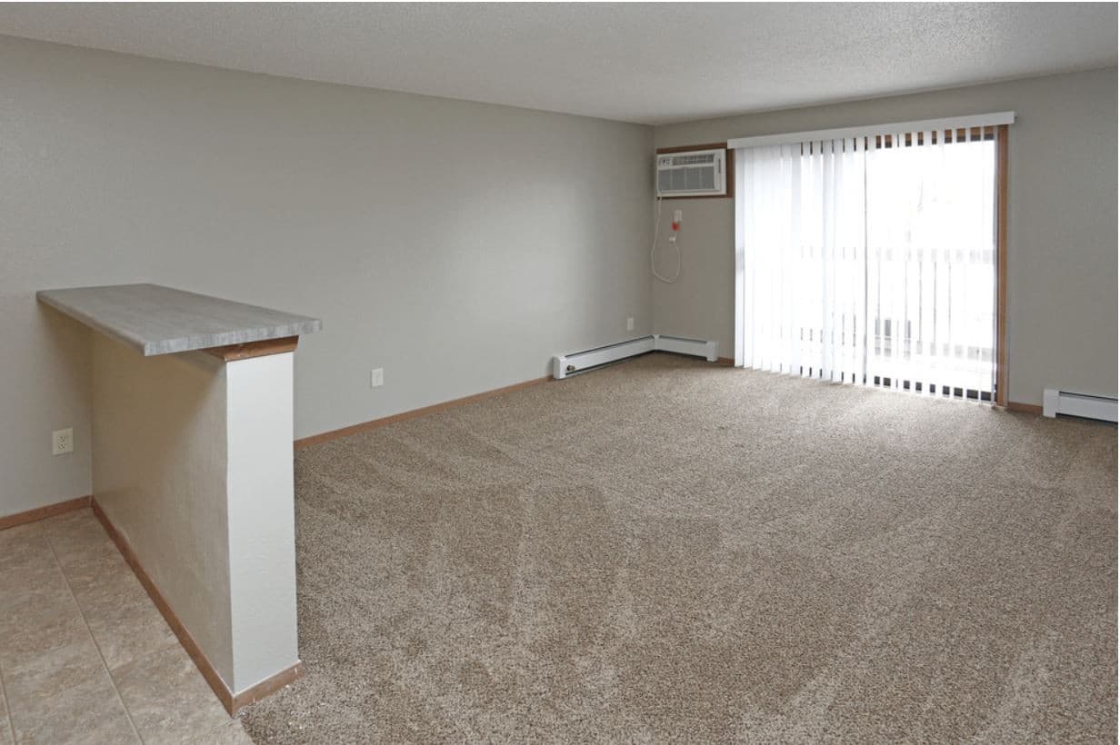 Sioux Falls Apartment: 221 N. Cleveland