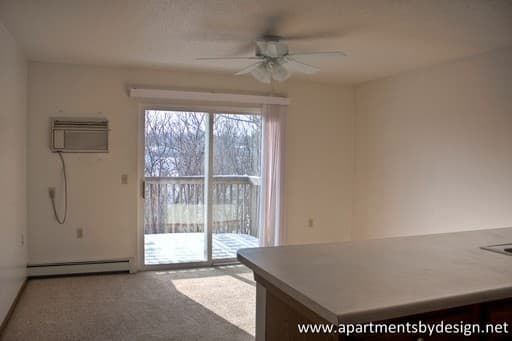 Sioux Falls Apartment: 609 N Cleveland Ave