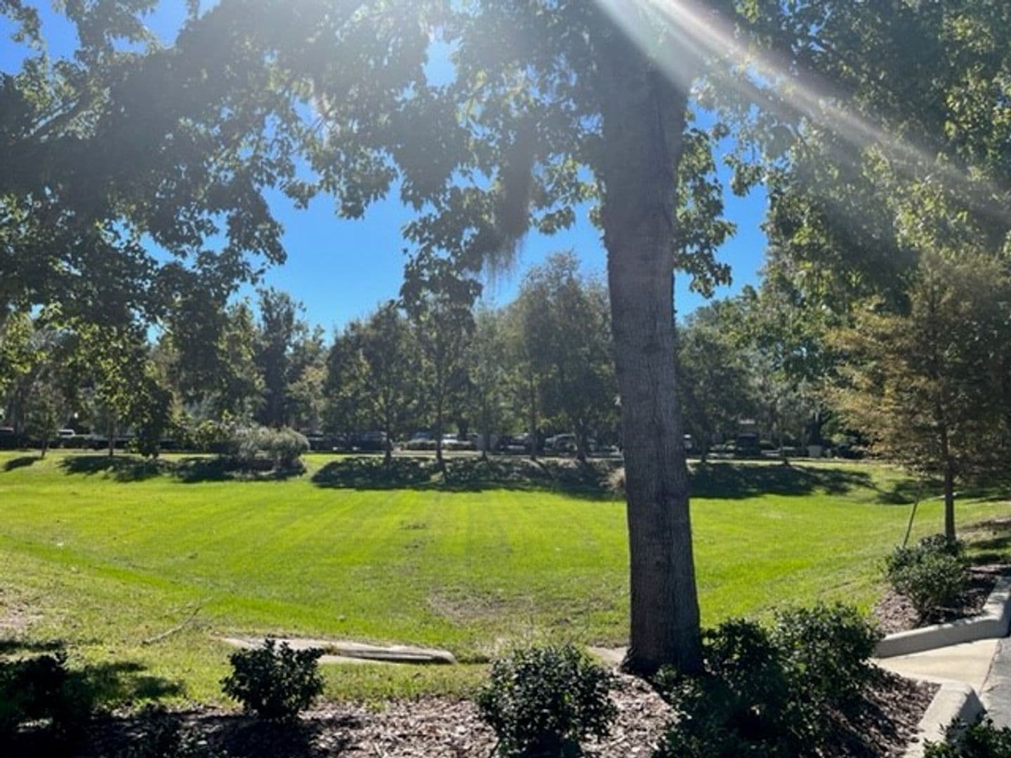 Gainesville Apartment: 4120 NW 37th Place